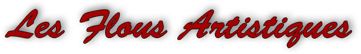 Les Flous Artistiques